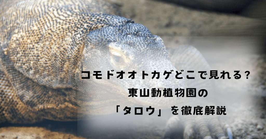 コモドオオトカゲどこで見れる？東山動植物園の「タロウ」を徹底解説