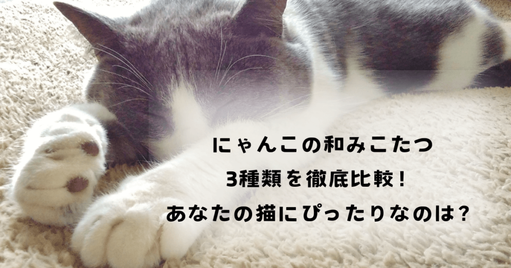 にゃんこの和みこたつ3種類を徹底比較！あなたの猫にぴったりなのは？