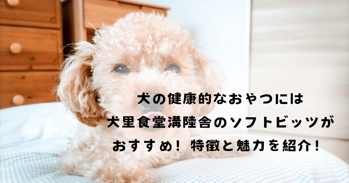 犬の健康的なおやつには犬里食堂溝陸舎のソフトビッツがおすすめ！特徴と魅力を紹介！